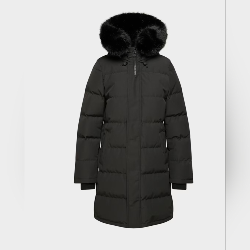 Aritzia Black Hooded Puffer Coat